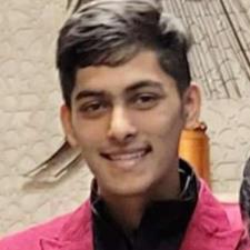 Vansh S. Stony Brook, NY, available for online tutoring